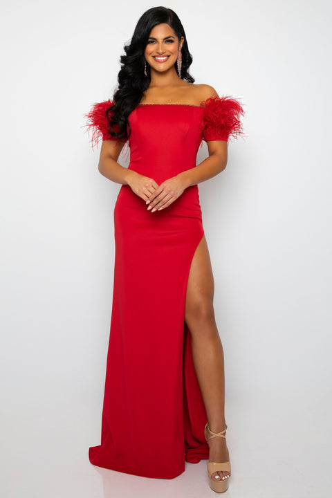 Ava Presley 39268 chic pageant gown with feather accents