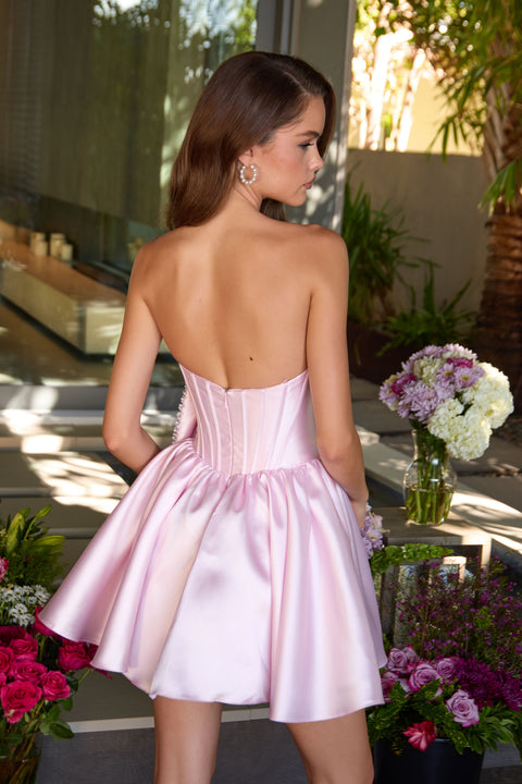 Ava Presley 47298 structured panel bodice dress